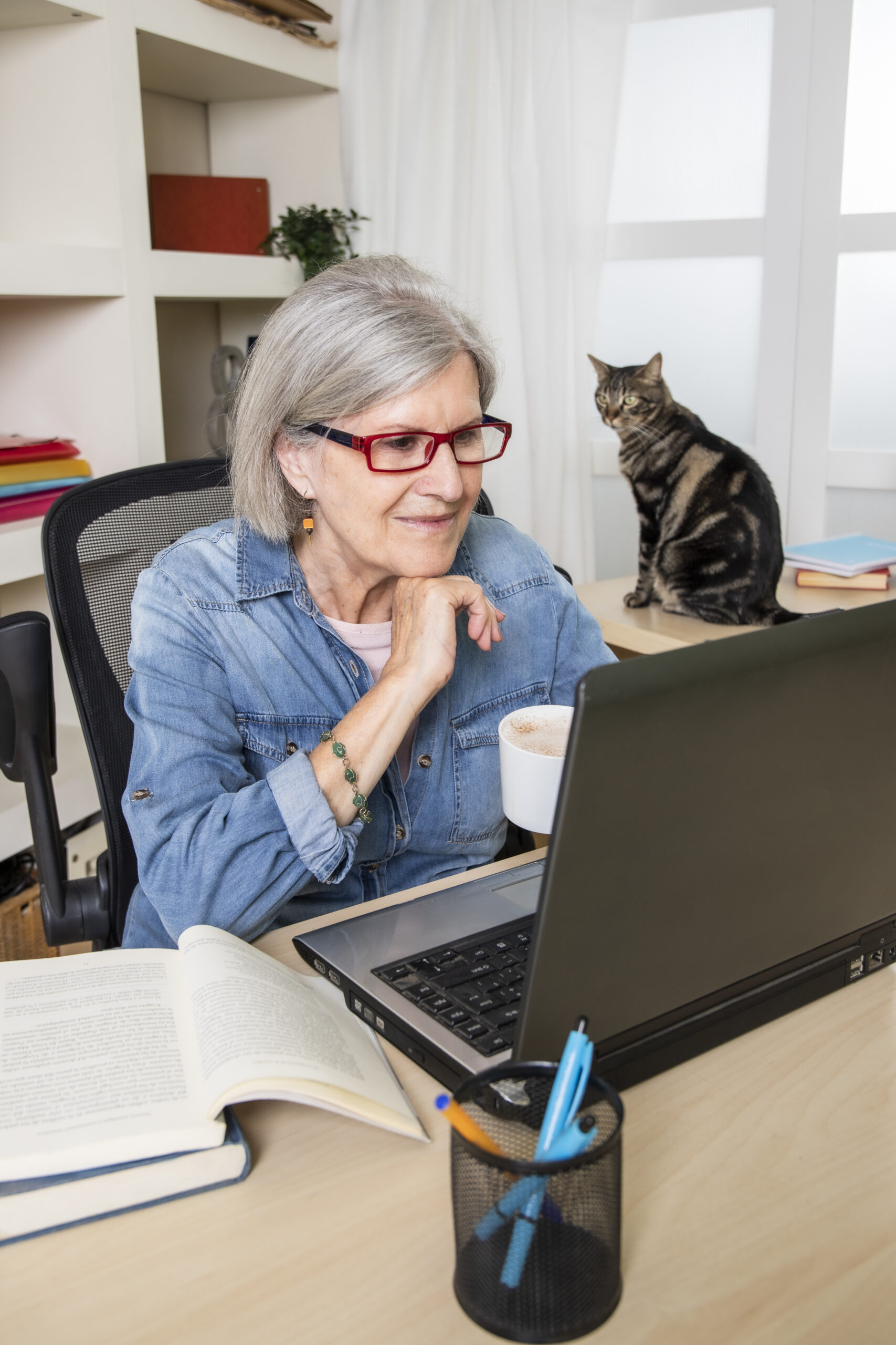 elderly woman studying in front of a computer with her cat. vertical